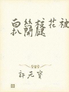 白丝校花被强制扒开腿封面