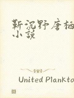 靳沉野唐栖雾的小说