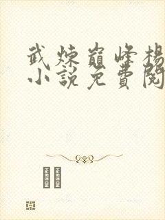 武炼巅峰杨开 小说免费阅读