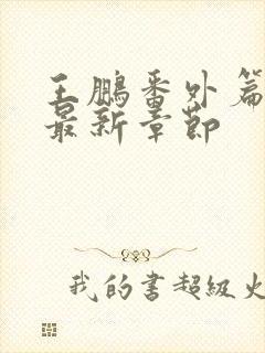 王鹏番外篇之月最新章节