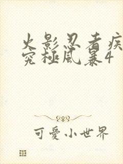 火影忍者疾风传究极风暴4封面