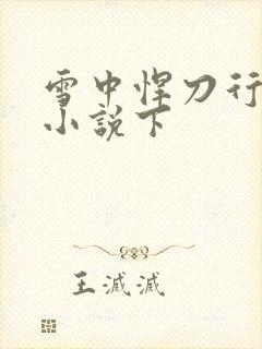 雪中悍刀行有声小说下封面