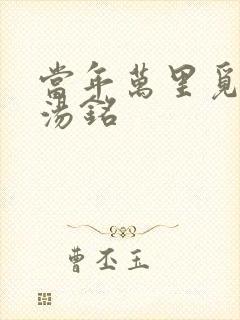 当年万里觅封侯汤铭