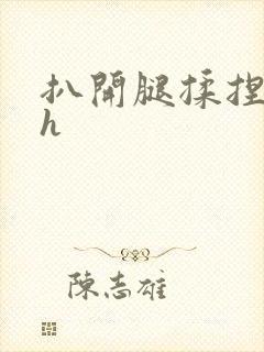 扒开腿揉捏花蒂h