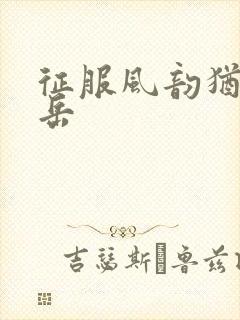 征服风韵犹存的岳封面