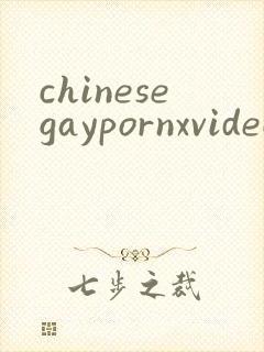 chinesegaypornxvideos