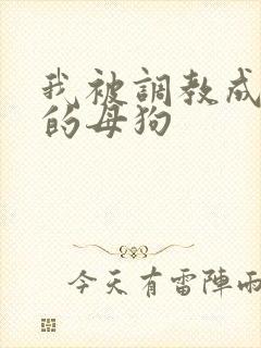 我被调教成下贱的母狗