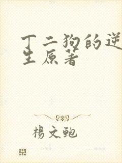 丁二狗的逆袭人生原著