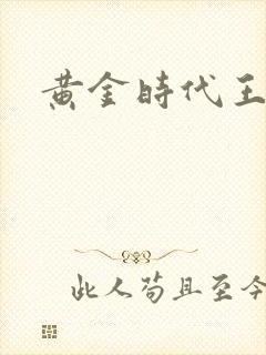 黄金时代王小波封面