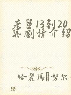 老舅13到20集剧情介绍