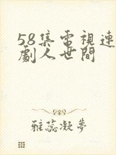 58集电视连续剧人世间封面