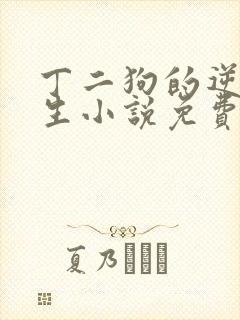 丁二狗的逆袭人生小说免费阅读