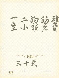 丁二狗的肆意人生小说免费 笔趣阁