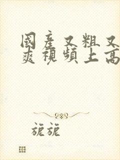 国产又粗又猛又爽视频上高潮69