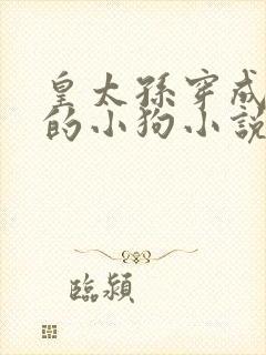 皇太孙穿成我捡的小狗小说在线阅读