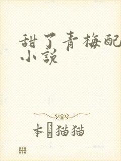 甜了青梅配竹马小说