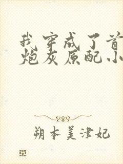 我穿成了首辅的炮灰原配小说