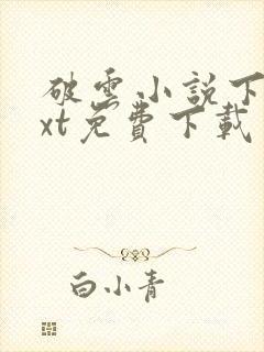 破云小说下载txt免费下载