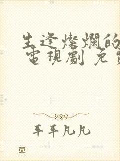 生逢灿烂的日子 电视剧 免费观看封面