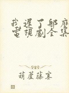 我迟了那么多年电视剧全集免费播放