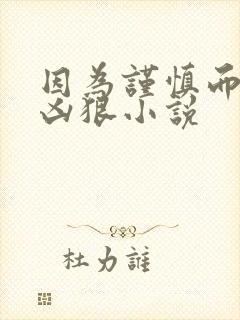 因为谨慎而过分凶狠小说