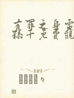 有罪之身电视剧孙千免费观看全集高清封面