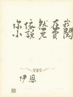 你依然在我梦里小说免费阅读封面