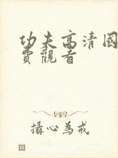 功夫高清国语免费观看