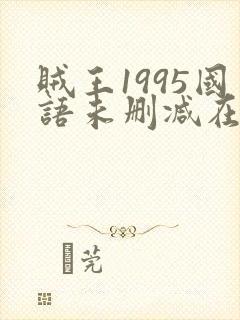 贼王1995国语未删减在线播放