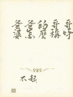 爸爸的哥哥的老婆怎么称呼