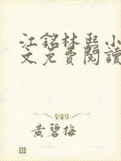 江铭林熙小说全文免费阅读