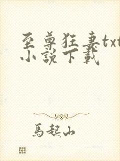 至尊狂妻txt小说下载