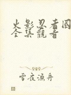 火影忍者国语版全集观看