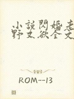 小说闪婚老公又野又欲全文