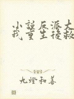 小说反派大佬让我重生后救他