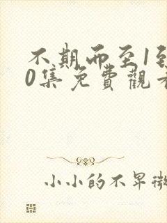 不期而至1到40集免费观看电视剧