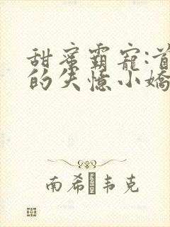 甜蜜霸宠:首席的失忆小娇妻小说