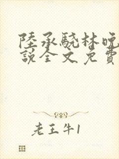 陆承骁林晚星小说全文免费阅读最新