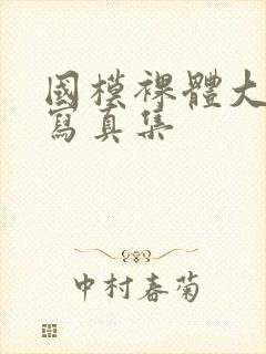 国模裸体大尺度写真集