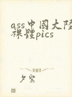 ass中国大陆裸体pics