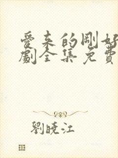 爱来的刚好电视剧全集免费观看