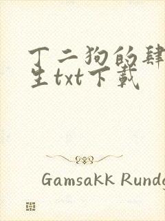 丁二狗的肆意人生txt下载