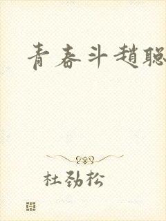 青春斗赵聪向真封面