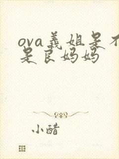 ova义姐是不是良妈妈封面