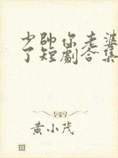 少帅你老婆又跑了短剧合集