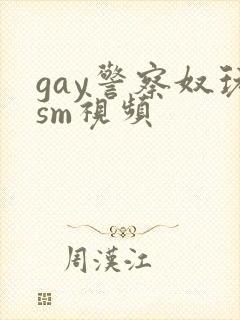 gay警察奴玩sm视频