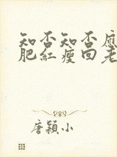 知否知否应是绿肥红瘦回老家是第几集封面