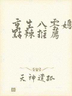 重生八零媳妇有点辣推荐