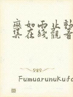 恋如雨止动漫全集在线观看