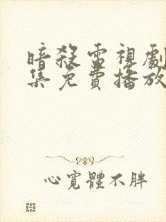 暗杀电视剧40集免费播放